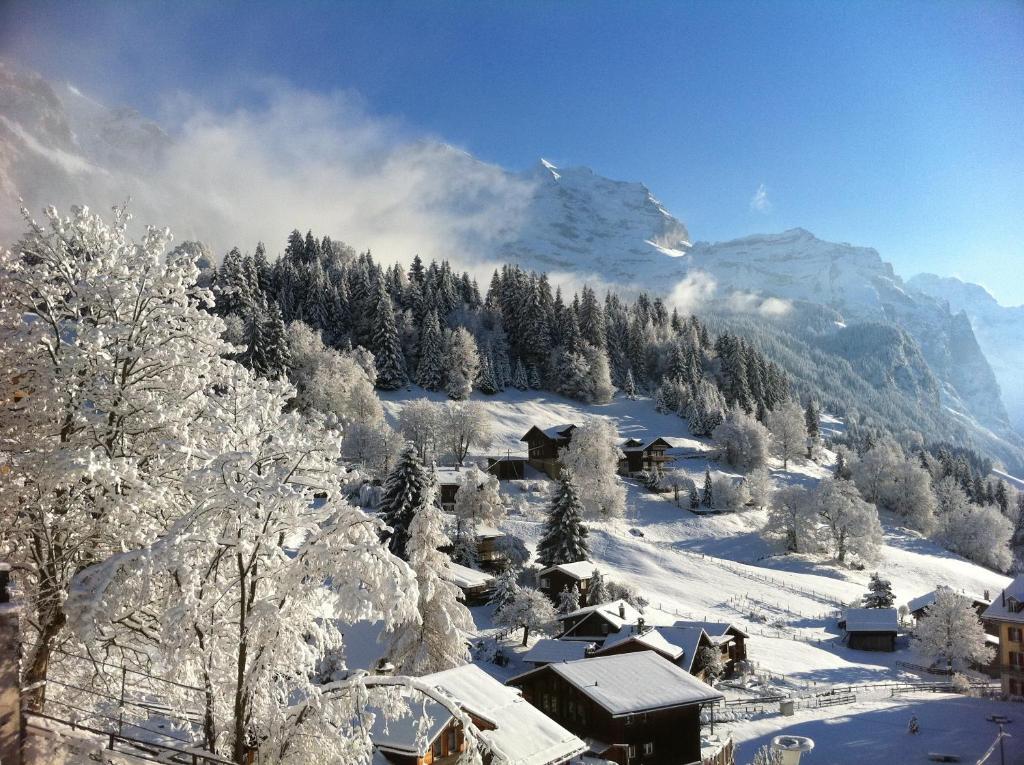 Chalet Acheregg Wengen Exterior foto